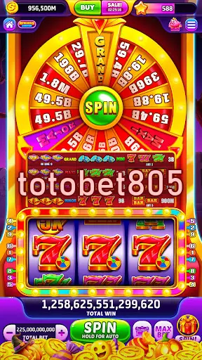 totobet805 Masuk